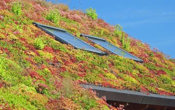 Chawton living roof systems
